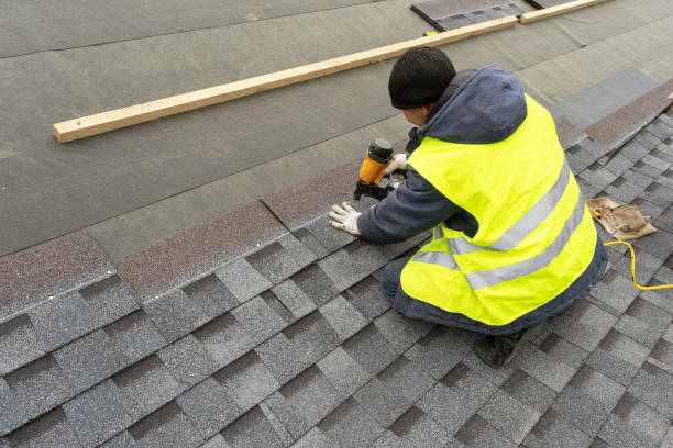 Best Shingle Roofing Installation  in Paw Paw Lake, MI