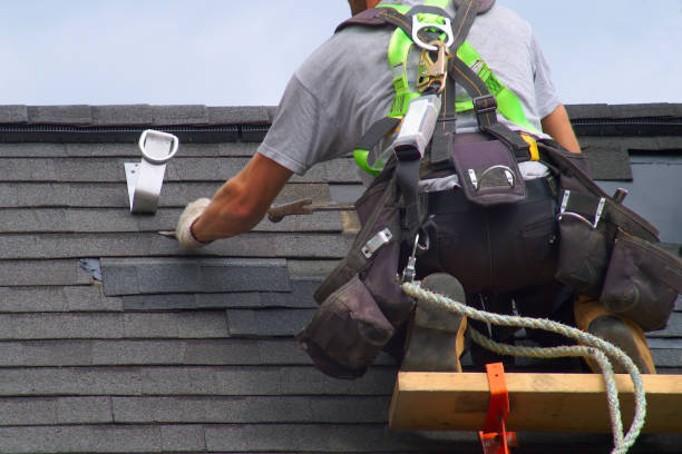 Best Roof Maintenance Services  in Paw Paw Lake, MI
