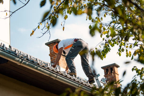 Quick and Trustworthy Emergency Roof Repair Services in Paw Paw Lake, MI