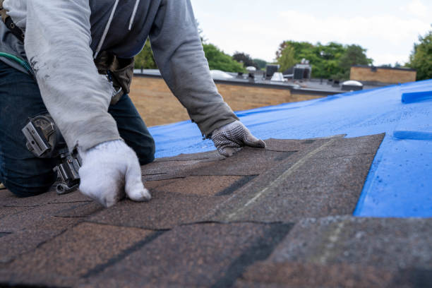 Best Commercial Roofing Services  in Paw Paw Lake, MI