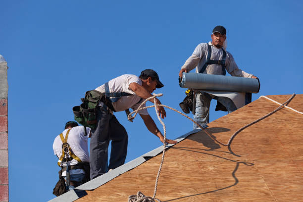 Best Flat Roof Repair Services  in Paw Paw Lake, MI