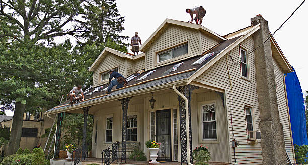 Best Emergency Roof Repair  in Paw Paw Lake, MI