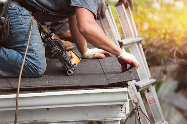 Best Roofing Contractor Near Me  in Paw Paw Lake, MI