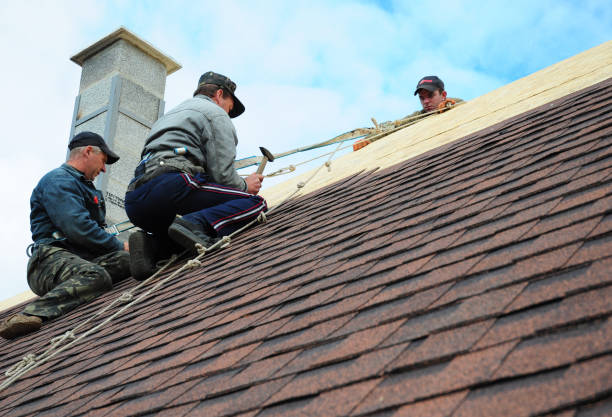 Best Metal Roofing Contractor  in Paw Paw Lake, MI